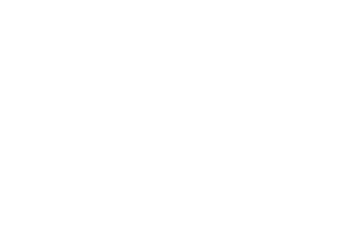 Beef Export Group